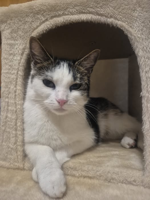 Cleo im neuen Zuhause bei Familie Bonk