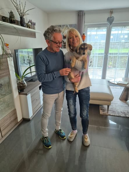 Katze Elli im neuen Zuhause