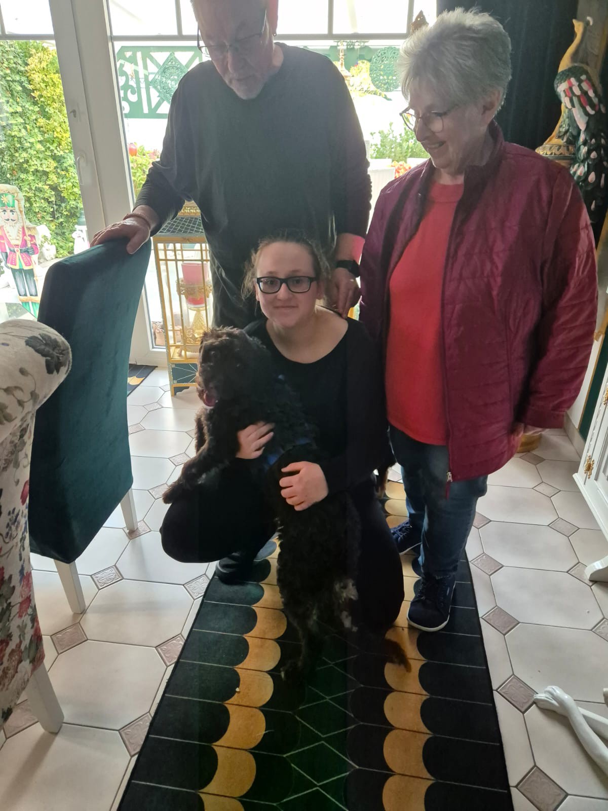 Hund Emma im neuen Zuhause