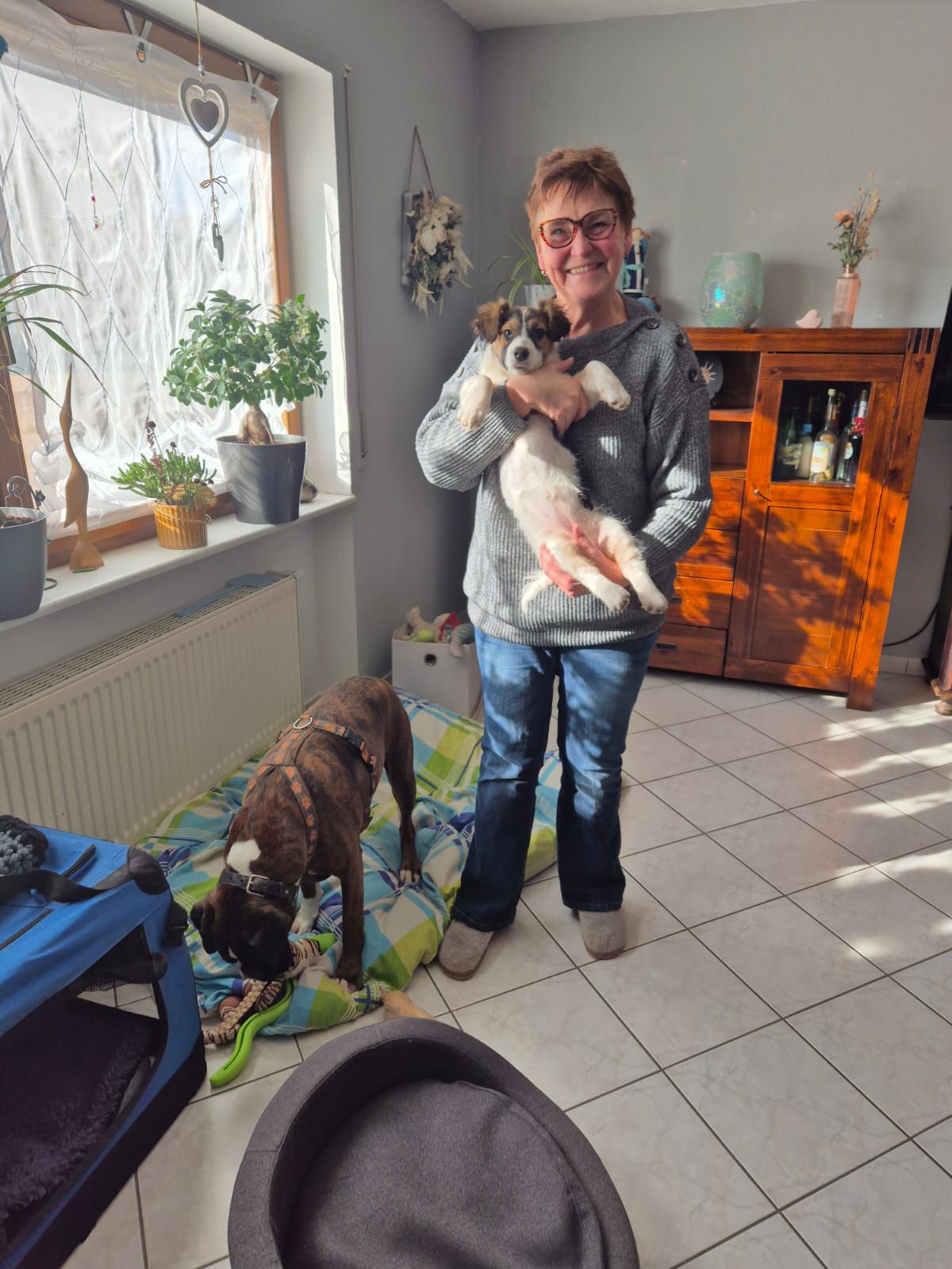 Hund Leni im neuen Zuhause bei Frau Wedel in Quierschied