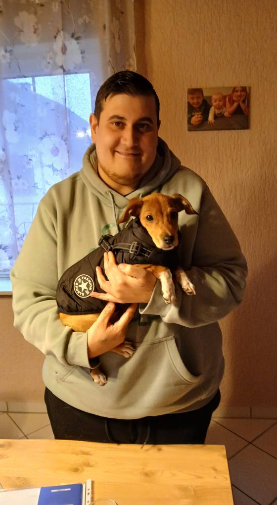 Hund Lucky im neuen Zuhause