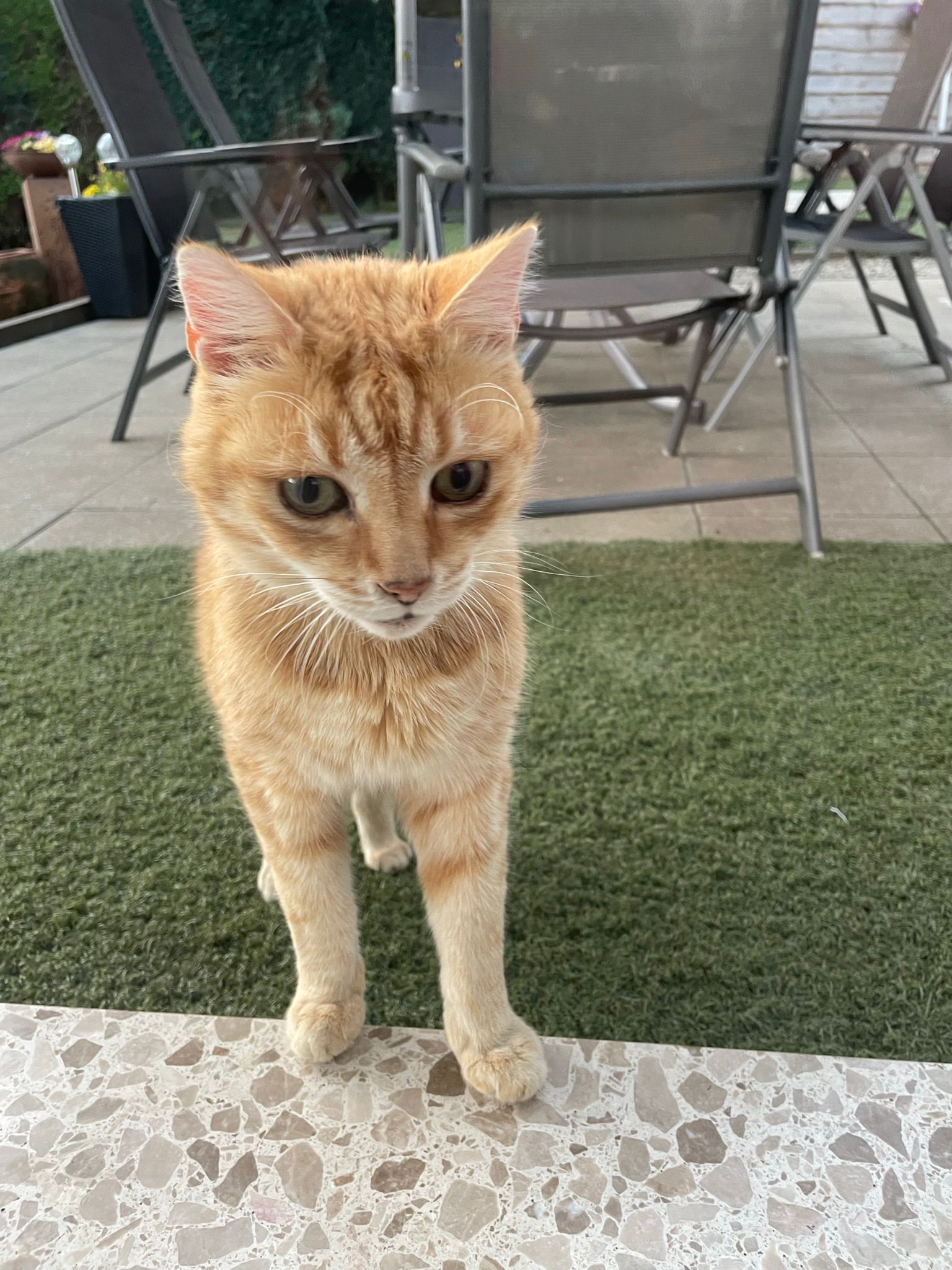 Miro