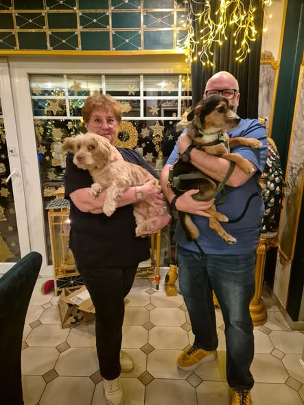 Hund Pepe im neuen Zuhause