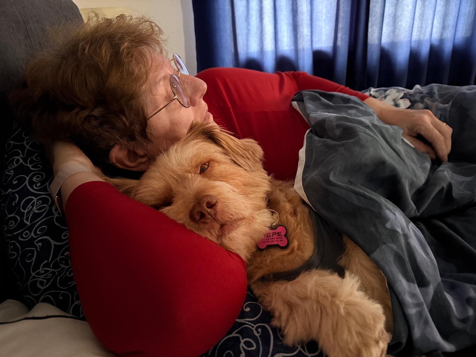 Hund Pepe im neuen Zuhause