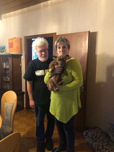 Katze Vicky im neuen Zuhause