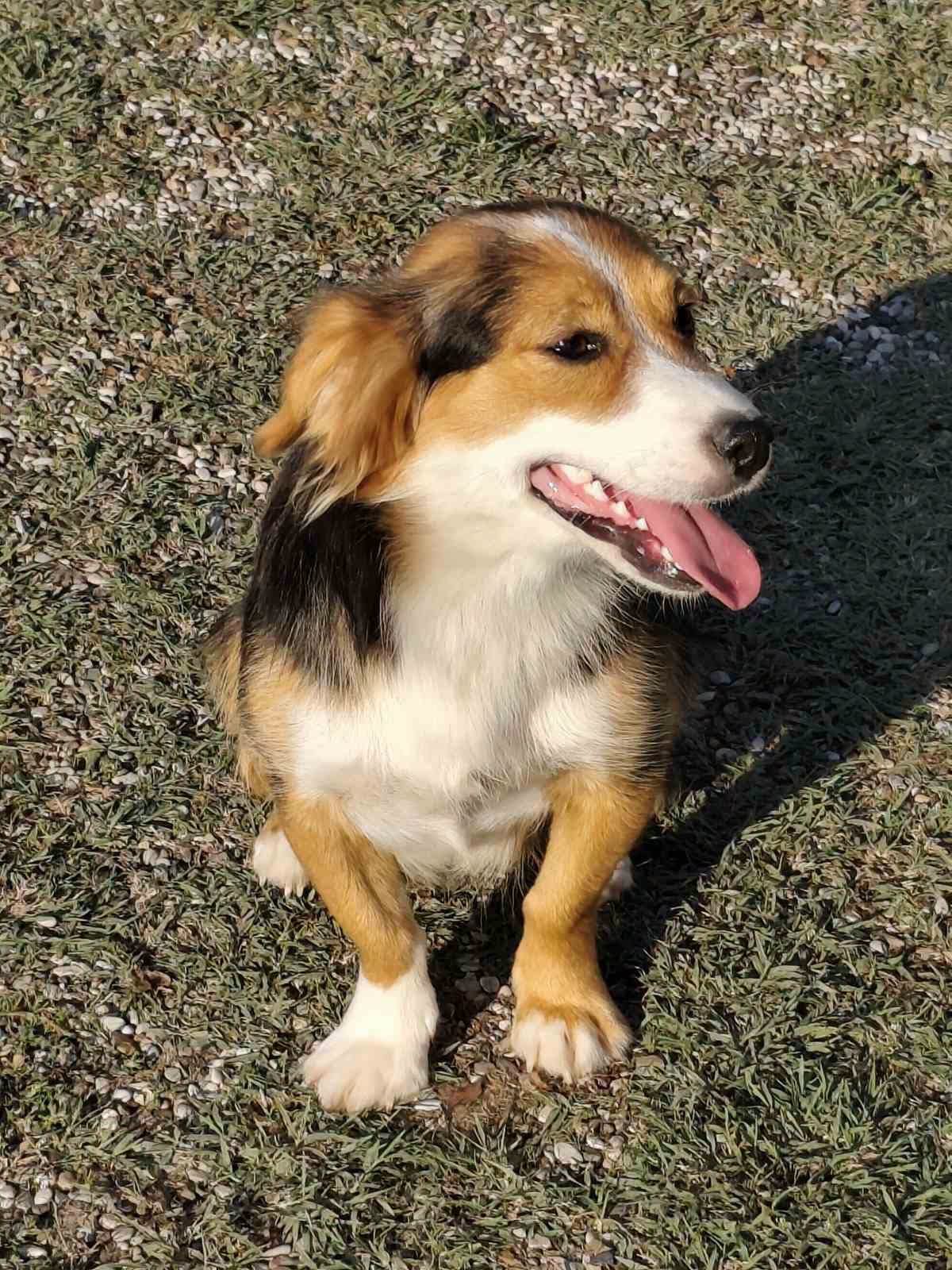 Luna