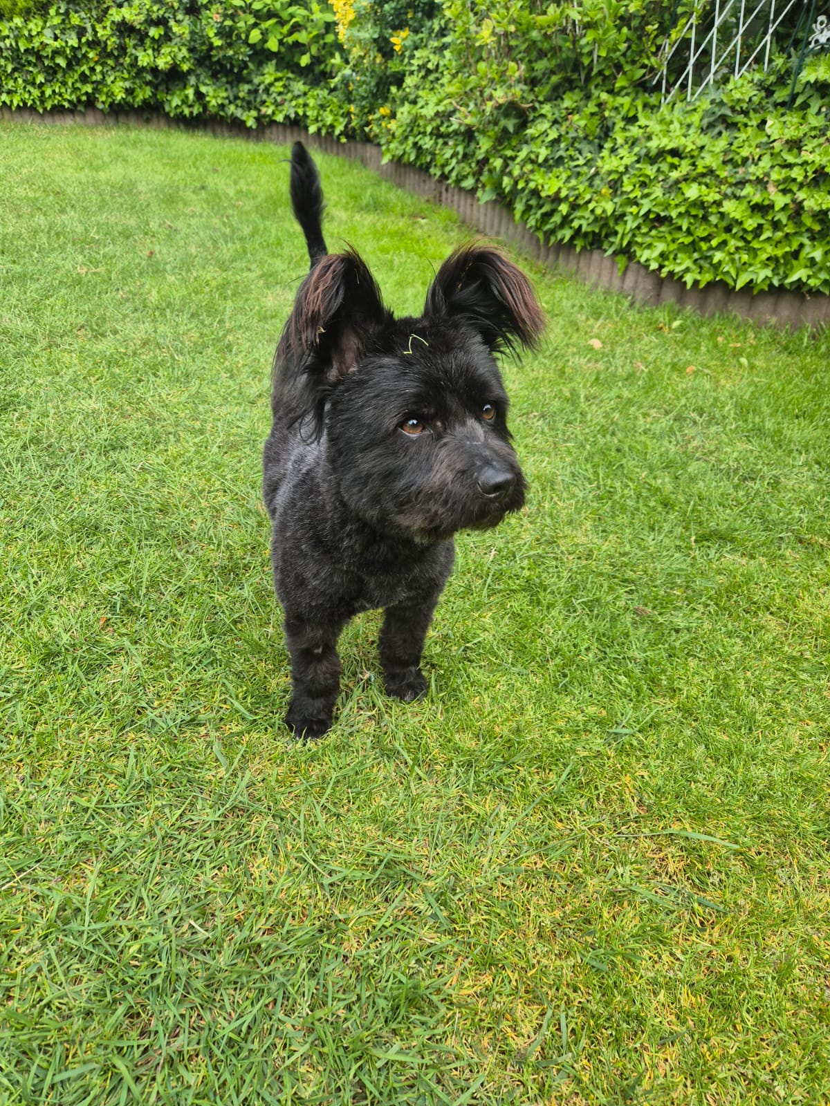 Diego