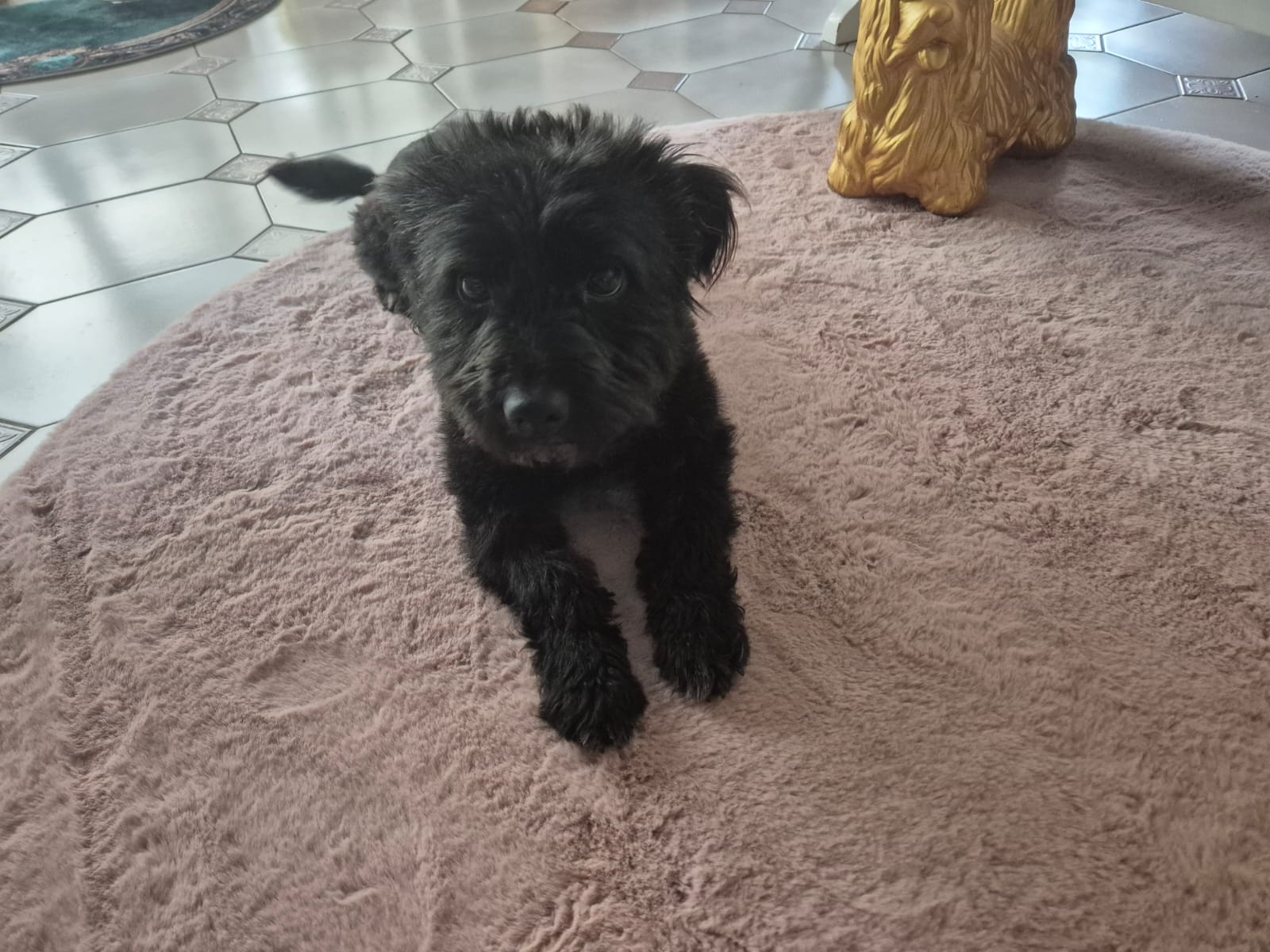 Diego