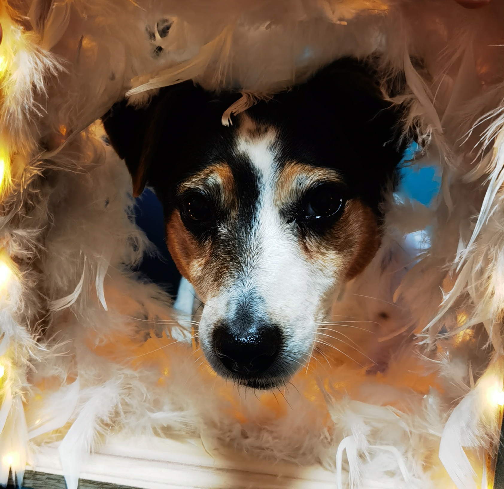 Erinnerungsbild von Milo