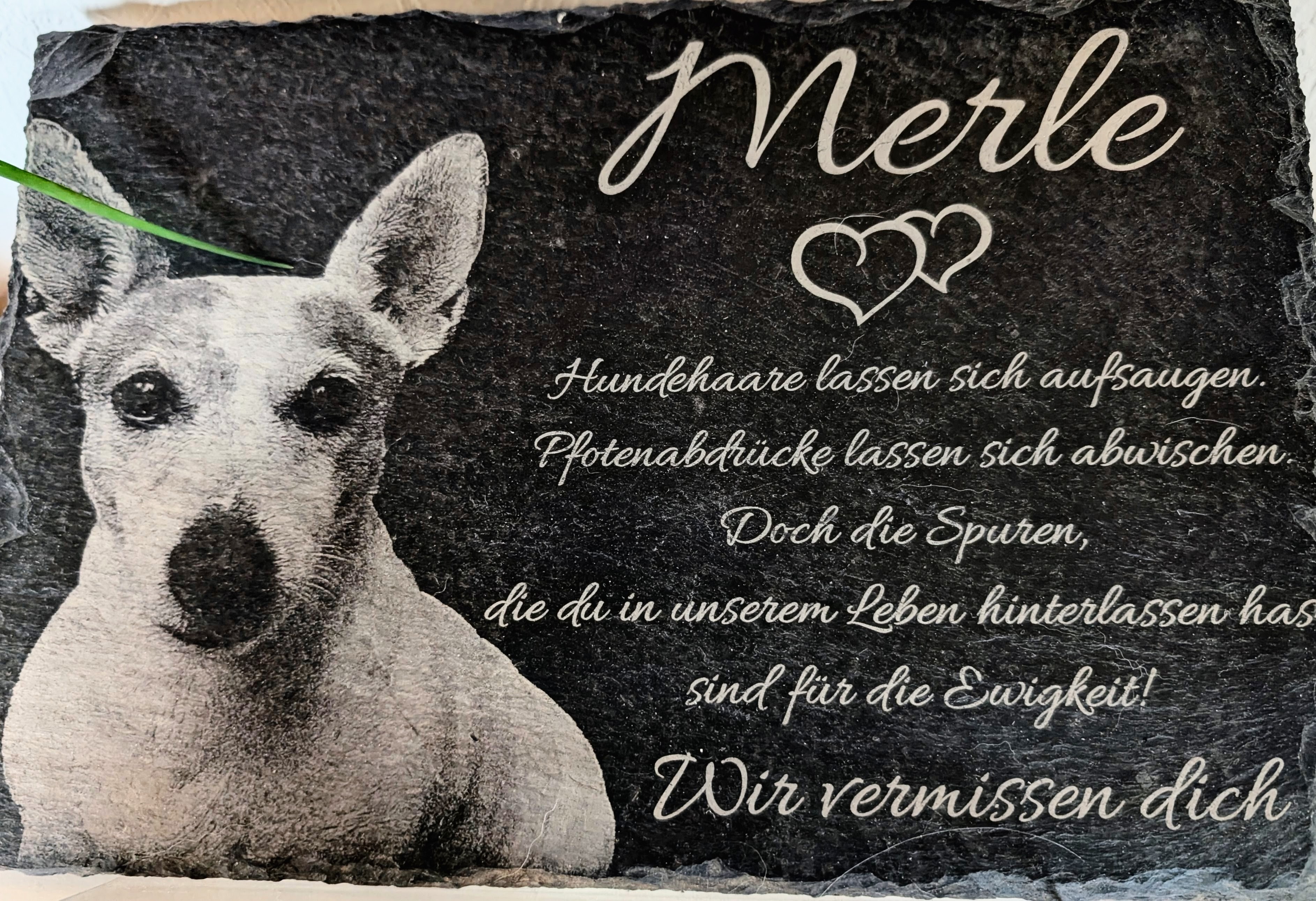 Erinnerungsbild von Merle