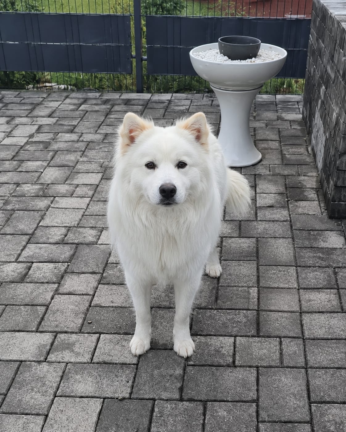 Erinnerungsbild von Knut
